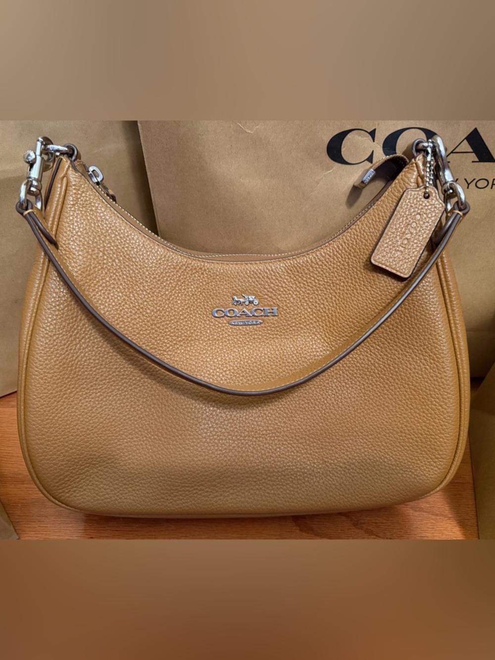 Teri Hobo Bag - Picture 4 of 7